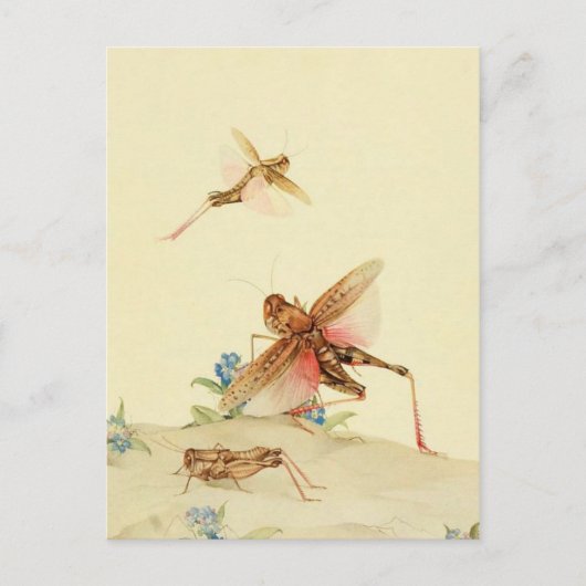 クラシックはがき ポストカード (正面)