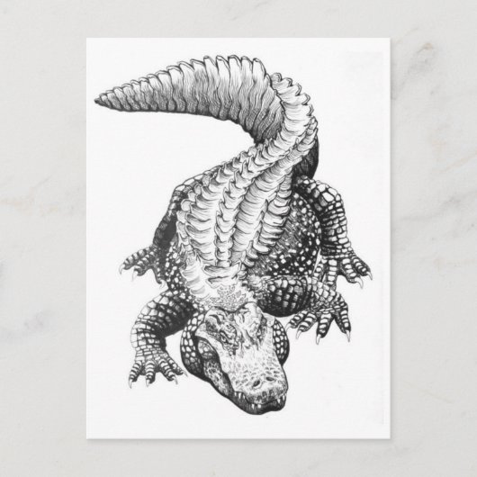 クラシックはがき ポストカード (正面)