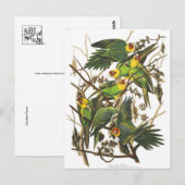 クラシックはがき ポストカード (正面/裏面)