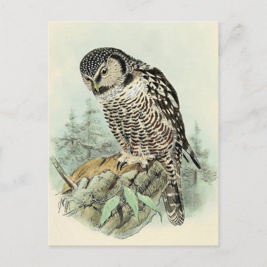 クラシックはがき ポストカード (正面)