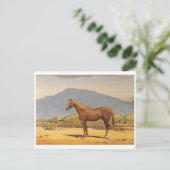 クラシックはがき ポストカード (スタンド正面)