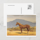 クラシックはがき ポストカード (正面/裏面)