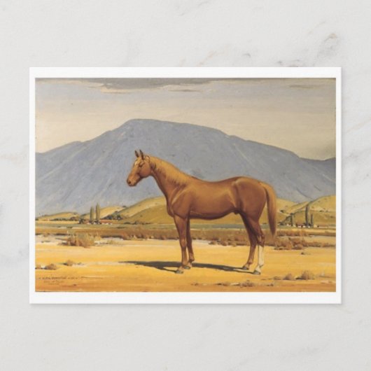 クラシックはがき ポストカード (正面)