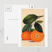 クラシックはがき ポストカード (正面/裏面)