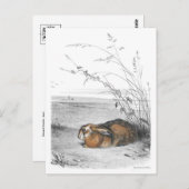 クラシックはがき ポストカード (正面/裏面)