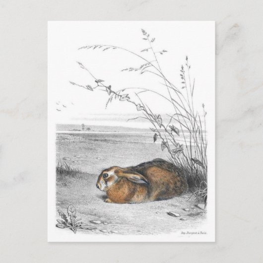 クラシックはがき ポストカード (正面)