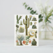 クラシックはがき ポストカード (スタンド正面)