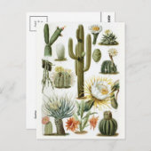 クラシックはがき ポストカード (正面/裏面)