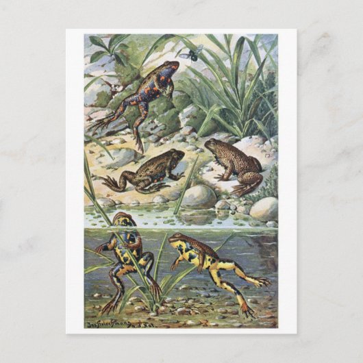 クラシックはがき ポストカード (正面)