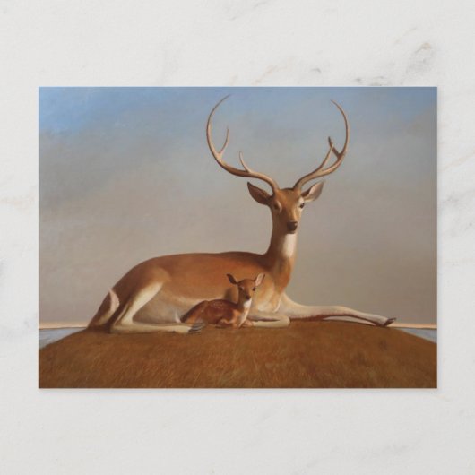 クラシックはがき ポストカード (正面)