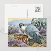 クラシックはがき ポストカード (正面/裏面)