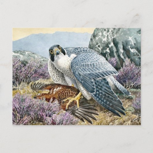 クラシックはがき ポストカード (正面)