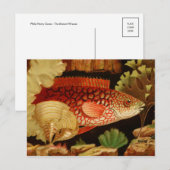 クラシックはがき ポストカード (正面/裏面)