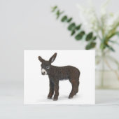 クラシックはがき ポストカード (スタンド正面)