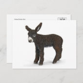 クラシックはがき ポストカード (正面/裏面)