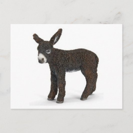 クラシックはがき ポストカード (正面)