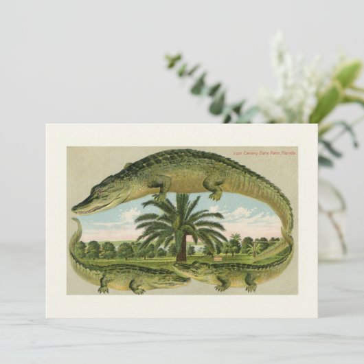 クラシックアリゲーターの動き発表 (スタンド正面)