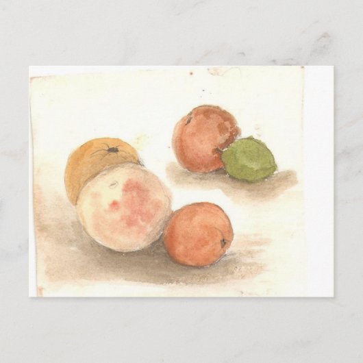 クラシックイグアナの夜 ポストカード (正面)