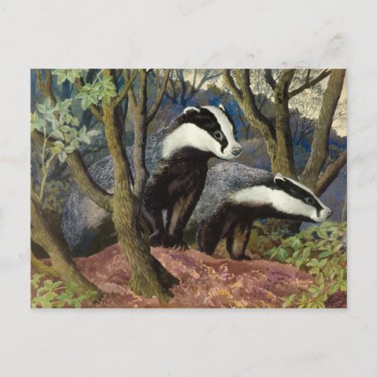 クラシックイラストのポストカード ポストカード (正面)