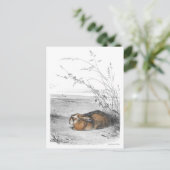 クラシックイラストのポストカード ポストカード (スタンド正面)