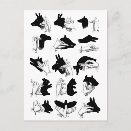 クラシックイラストレーションはがき ポストカード (正面)