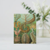 クラシックイラストレーションはがき ポストカード (スタンド正面)