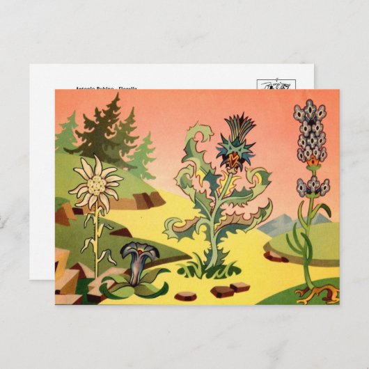 クラシックイラストレーションはがき ポストカード (正面/裏面)