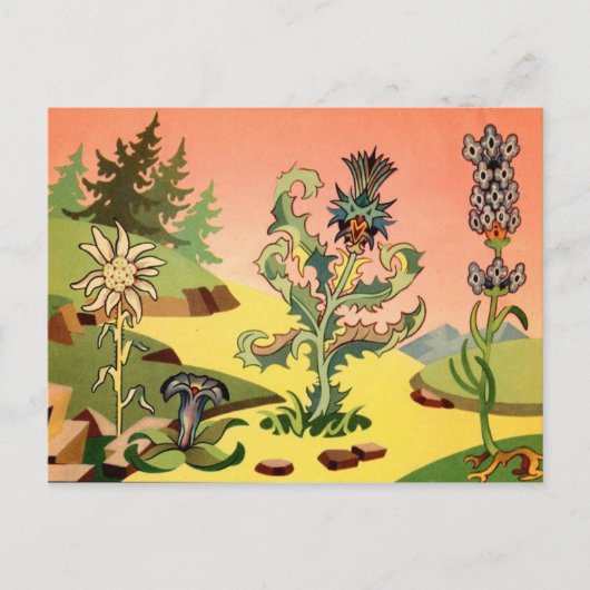 クラシックイラストレーションはがき ポストカード (正面)