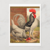 クラシックイラストレーションはがき ポストカード (正面)