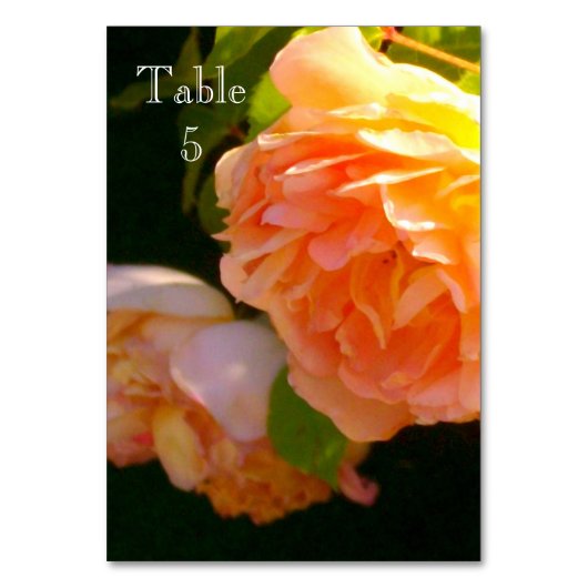 クラシックエレガントバラ テーブルナンバー (正面)