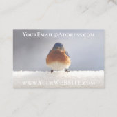 クラシックカメラ（写真付き）、写真家 名刺 (裏面)