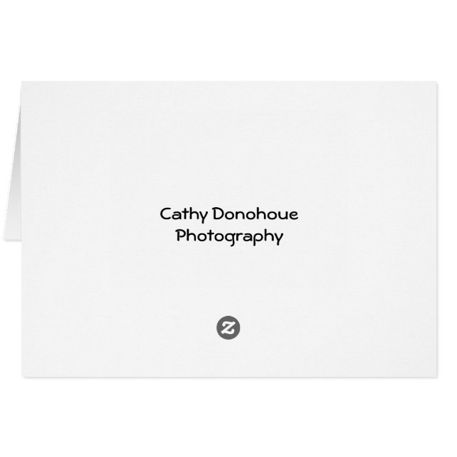 クラシックカーおよびポンプ (裏面横)