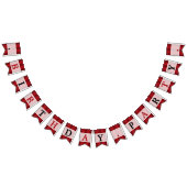 クラシックサーカスカラーバースデーパーティー バンティングフラッグ (全)