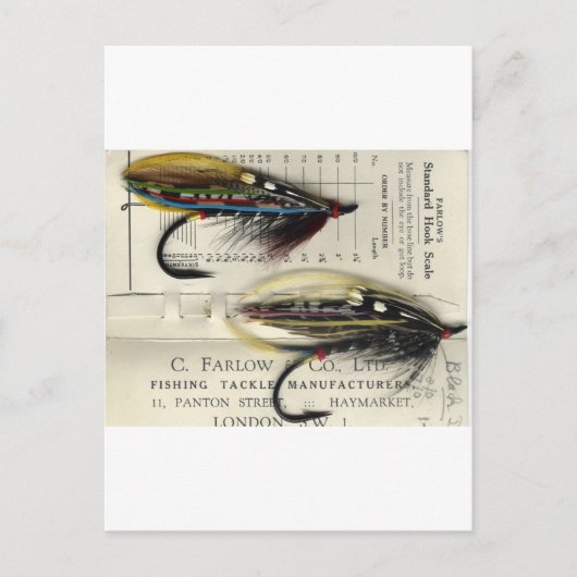 クラシックサーモンフライ ポストカード (正面)