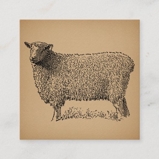 クラシックシープアートイラストレーションアンティークファーム動物 エンクロージャーカード (正面)