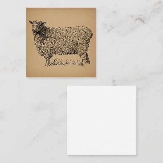 クラシックシープアートイラストレーションアンティークファーム動物 エンクロージャーカード (正面/裏面)