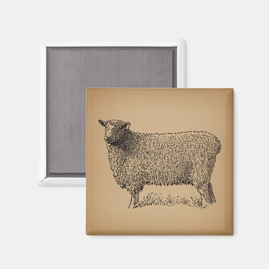 クラシックシープアートイラストレーションアンティークファーム動物 マグネット (正面/裏面)