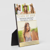 クラシックストライプ卒業歯垢 フォトプラーク (側面)