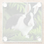 「クラシックチャーム白と黒のウサギ」 ガラスコースター (裏面)