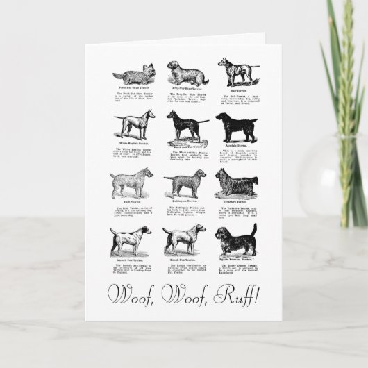 クラシックテリア犬誕生日ウィッシュカード カード (正面)