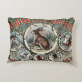 クラシックハレの失った アクセントクッション (裏面)