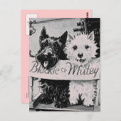 *クラシックピッかわいらしクのポストカード* ポストカード (正面/裏面)