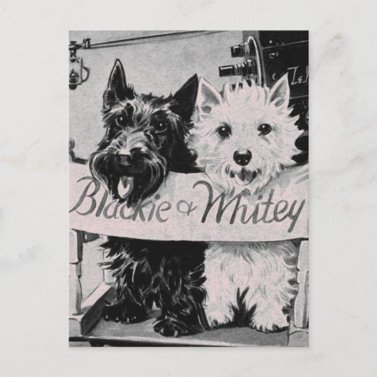 *クラシックピッかわいらしクのポストカード* ポストカード (正面)