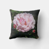 クラシックピンクローズビューティフル自然写真 クッション (裏面)