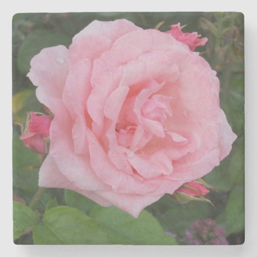 クラシックピンクローズ ストーンコースター (正面)