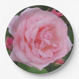 クラシックピンクローズ ペーパープレート