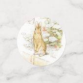 クラシックピーターザラビットテーブル紙吹雪セット2 コンフェッティ (スモール正面)