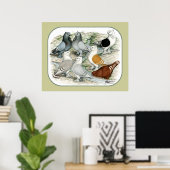 クラシックフリルの野鳩 ポスター (ホームオフィス)