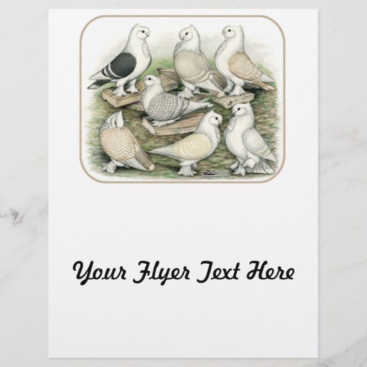 クラシックフリルピジョンズサティネット チラシ (正面)