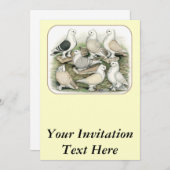 クラシックフリルピジョンズサティネット 招待状 (正面/裏面)